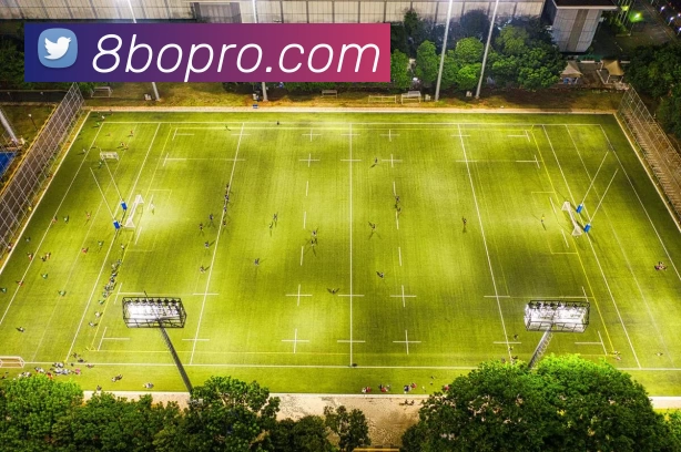 8博专业品牌故事